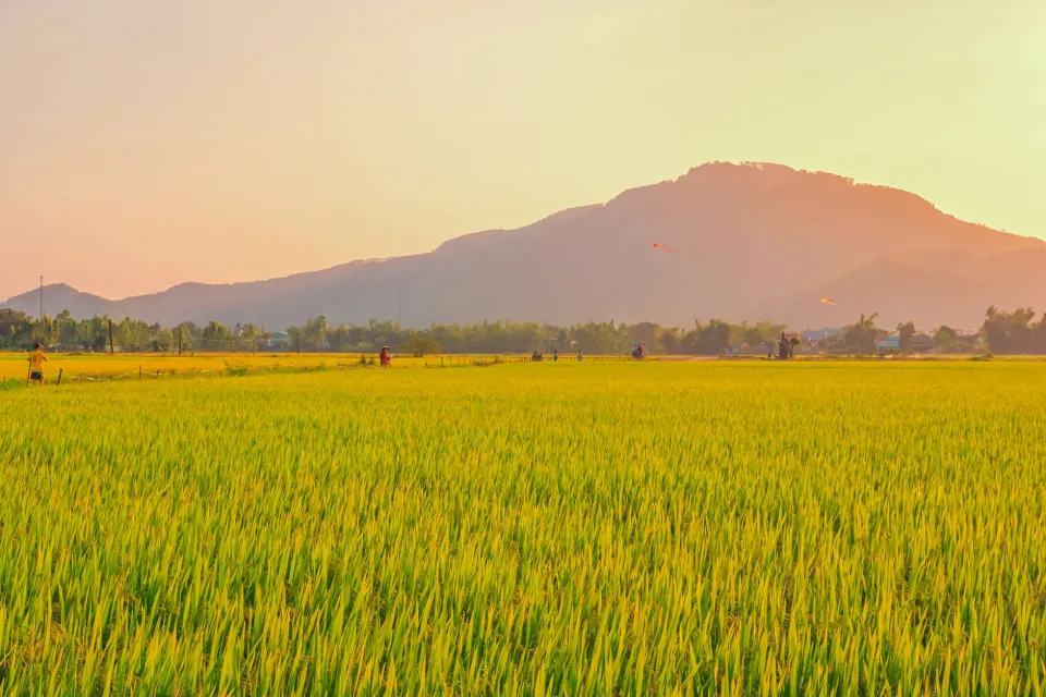 Kho gạo của Nguyễn Hiệp